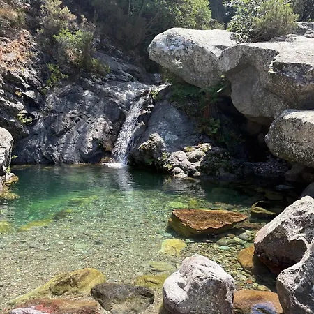 Dom wakacyjny Maison Corse Calenzana